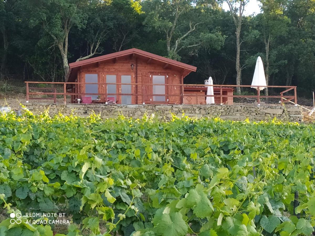 Casa Das Vinhas Velhas By Casa Do Poco Peso da Régua Esterno foto